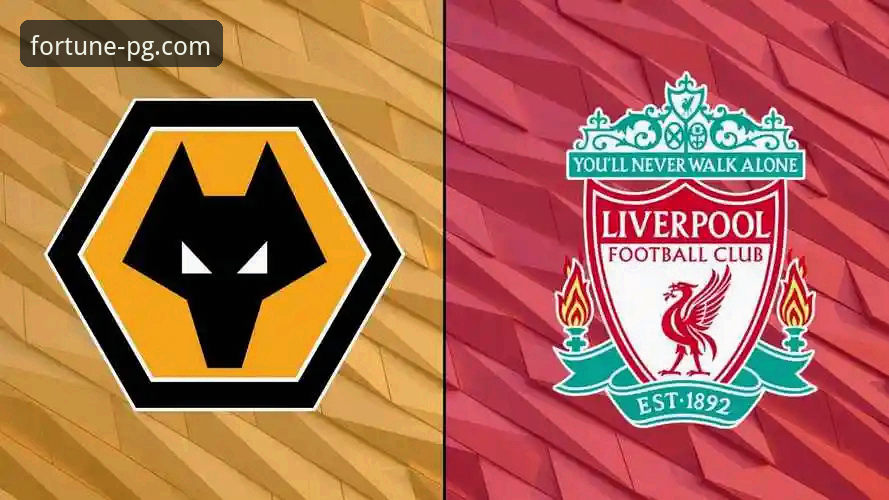 揭秘狼队vs利物浦：一场流畅赛事背后的技术支撑与用户体验